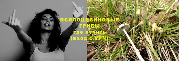 ECSTASY Алексин