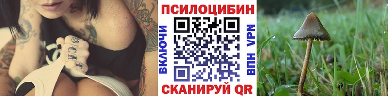 Галлюциногенные грибы MAGIC MUSHROOMS что такое Бердск